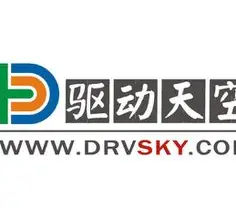 驱动天空官方logo